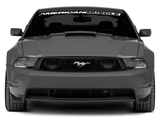 Raxiom LED Fog Lights; Smoked (05-12 Mustang GT)