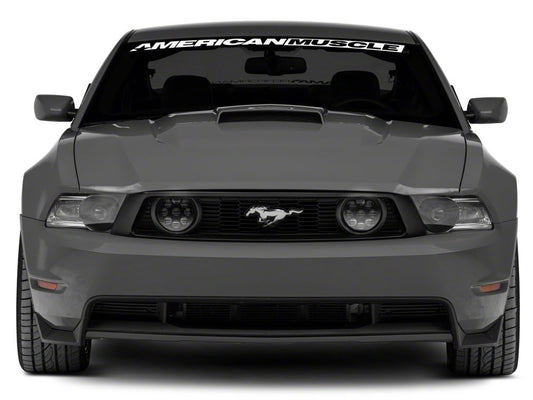 Raxiom LED Fog Lights; Clear (05-12 Mustang GT)