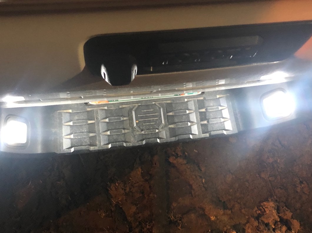 Raxiom Axial Series LED License Plate Bulbs (16-19 Tacoma)
