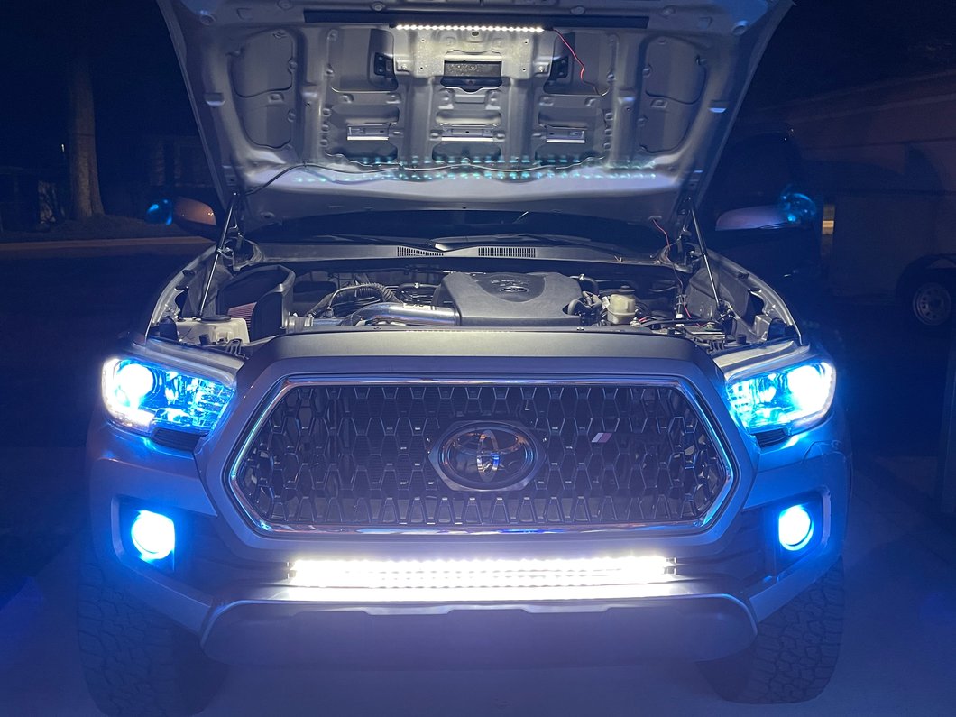 Raxiom Axial Series LED License Plate Bulbs (16-19 Tacoma)