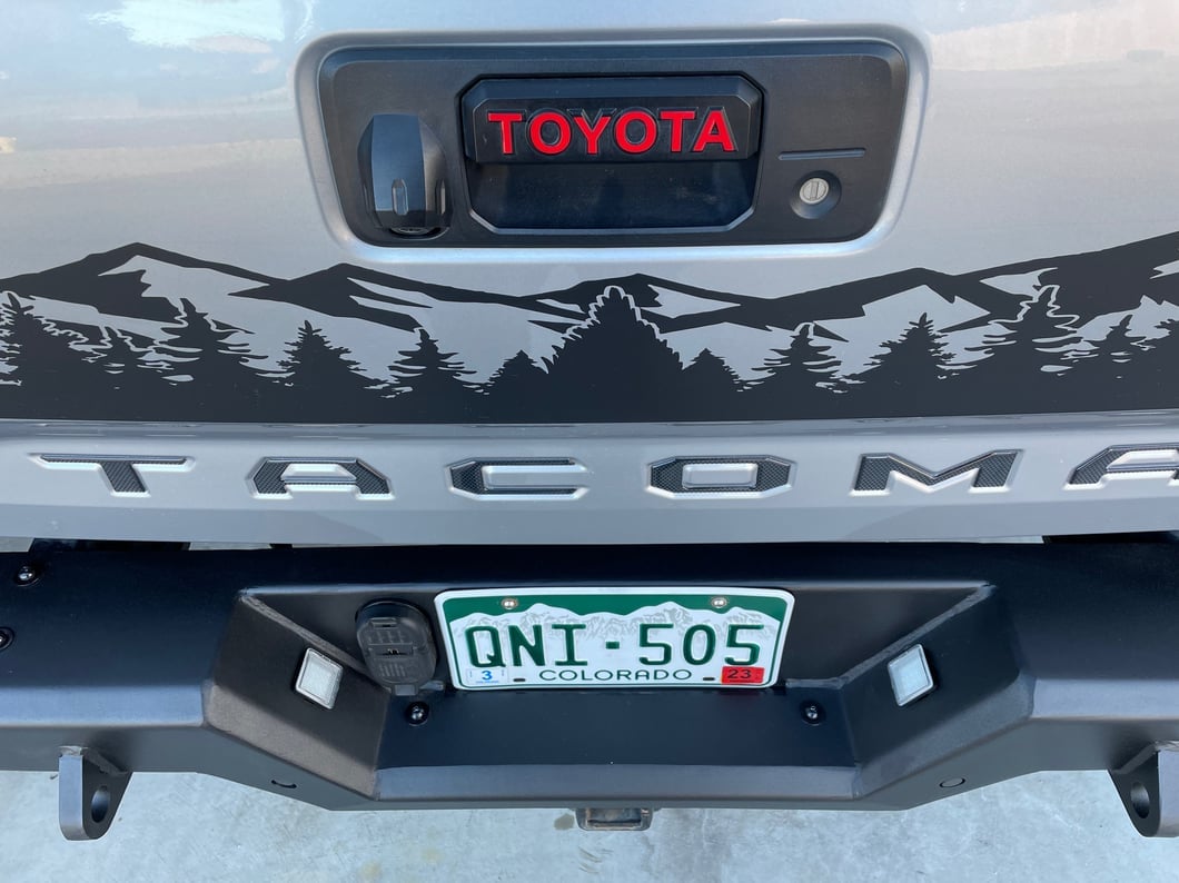 Raxiom Axial Series LED License Plate Bulbs (16-19 Tacoma)