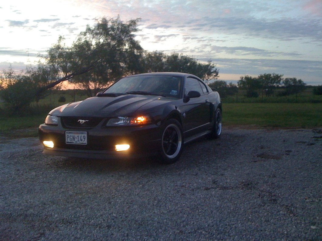 Raxiom Axial Series Replacement Fog Lights (99-04 Mustang, Excluding Cobra)