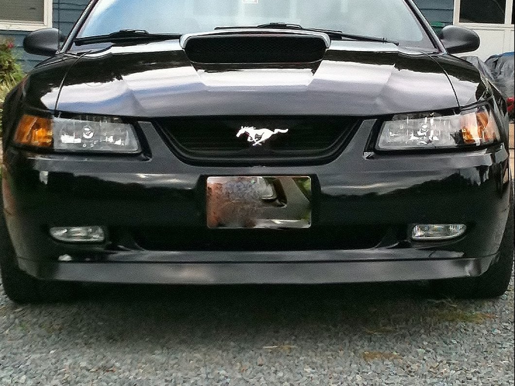 Raxiom Axial Series Replacement Fog Lights (99-04 Mustang, Excluding Cobra)
