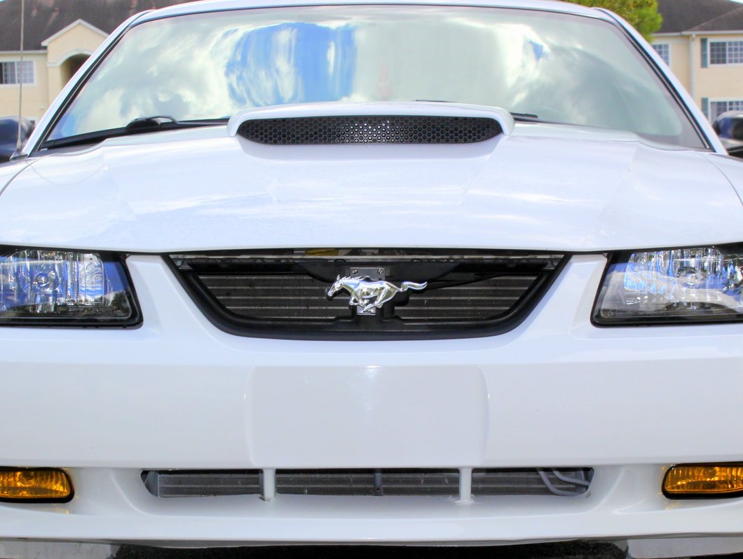 Raxiom Fog Lights; Yellow (99-04 Mustang, Excluding Cobra)