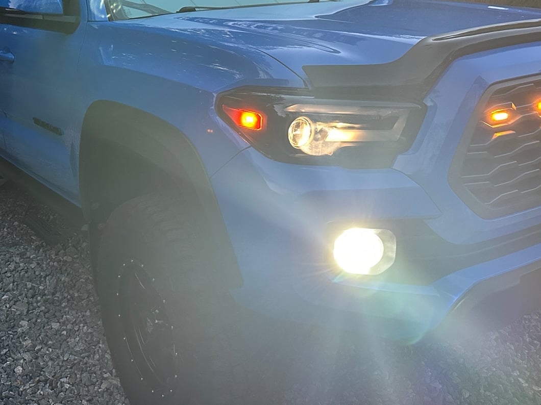 Raxiom Axial Series 6000K LED Fog Light Bulbs; H11 (12-23 Tacoma)