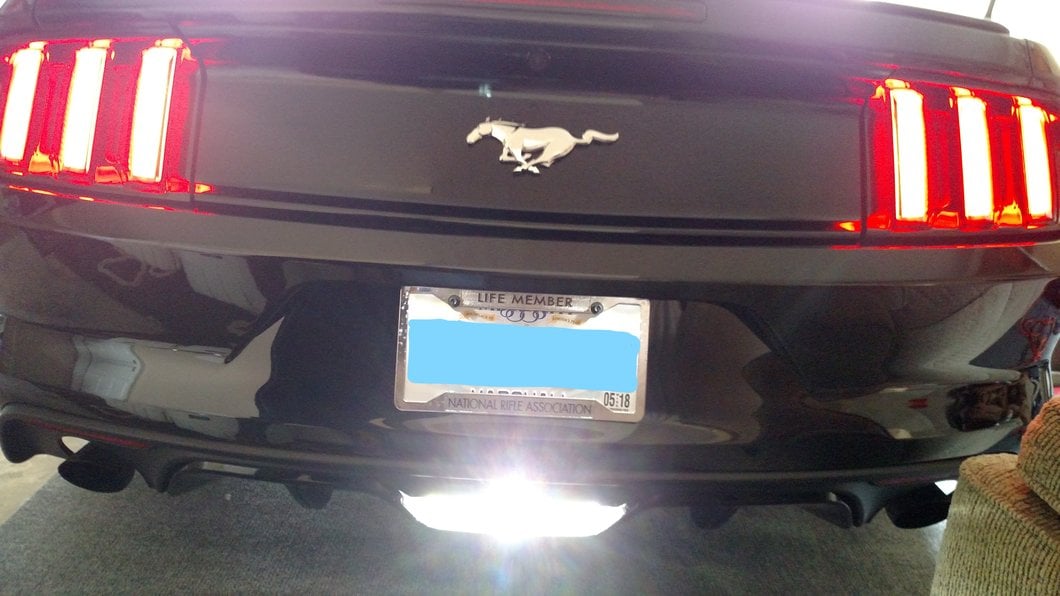 Raxiom Axial Series Reverse Light LED Conversion Kit (15-23 Mustang)