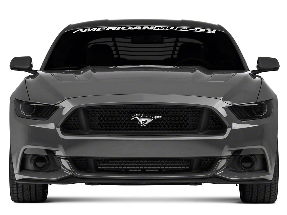 Raxiom Axial Series Switchback Turn Signal Conversion Kit (15-17 Mustang)