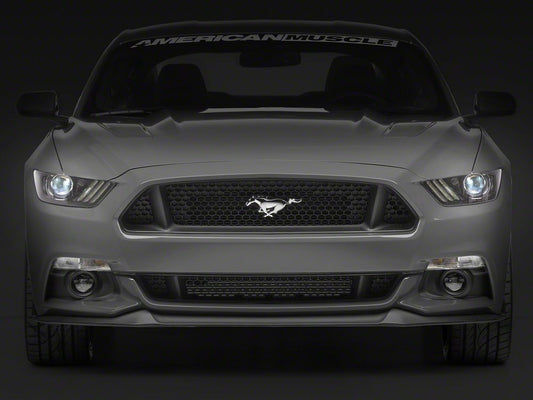 Raxiom Axial Series HID Bulb Upgrade; 6000K (10-23 Mustang w/ Factory HID Headlights)