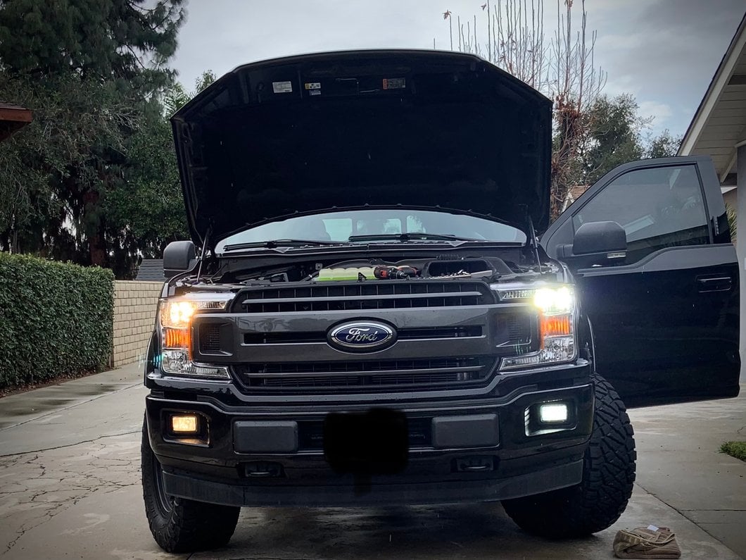 Raxiom Axial Series 6000K LED Fog Light Bulbs; H10 (99-25 F-150, Excluding 02-03 Harley Davidson)