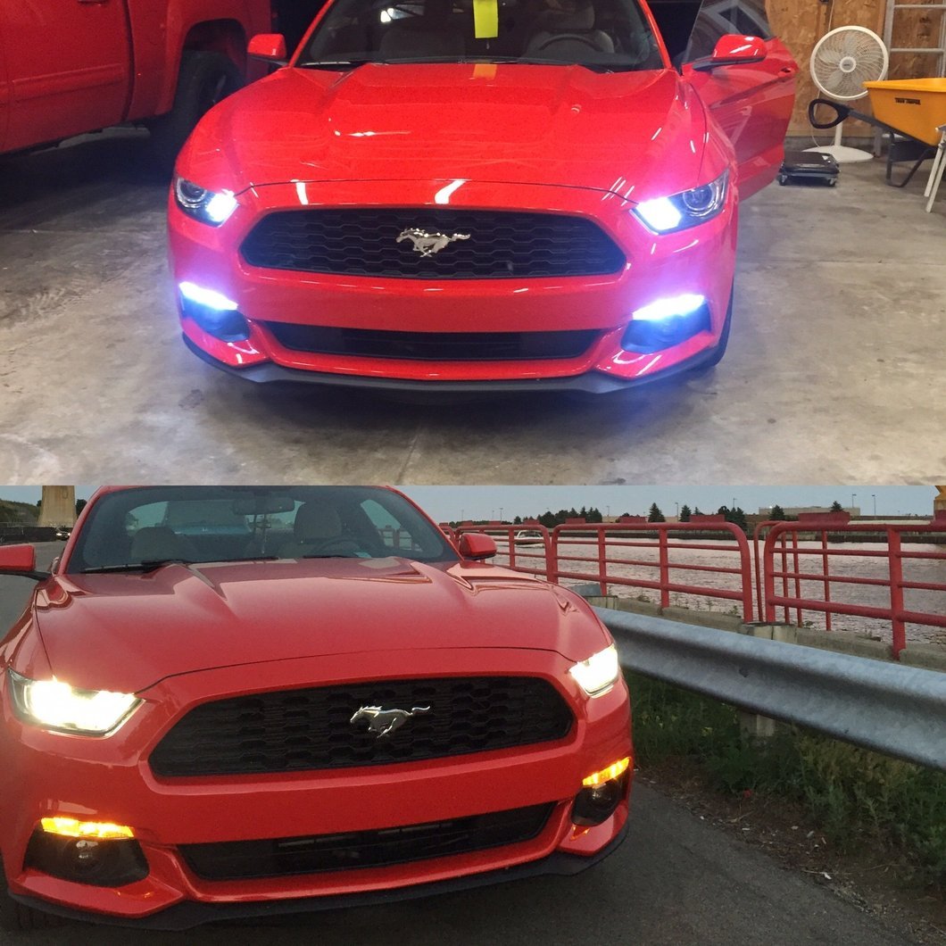 Raxiom Axial Series Reverse Light LED Conversion Kit (15-23 Mustang)