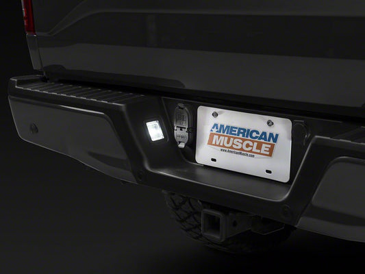 Raxiom Axial Series LED License Plate Light Bulbs (04-14 F-150)