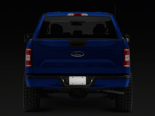 Raxiom Axial Series LED License Plate Lamps (15-25 F-150)