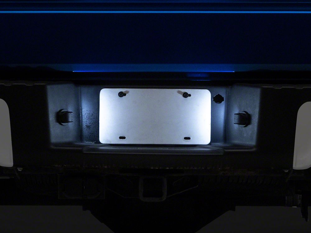 Raxiom LED License Plate Lighting; White (04-14 F-150)