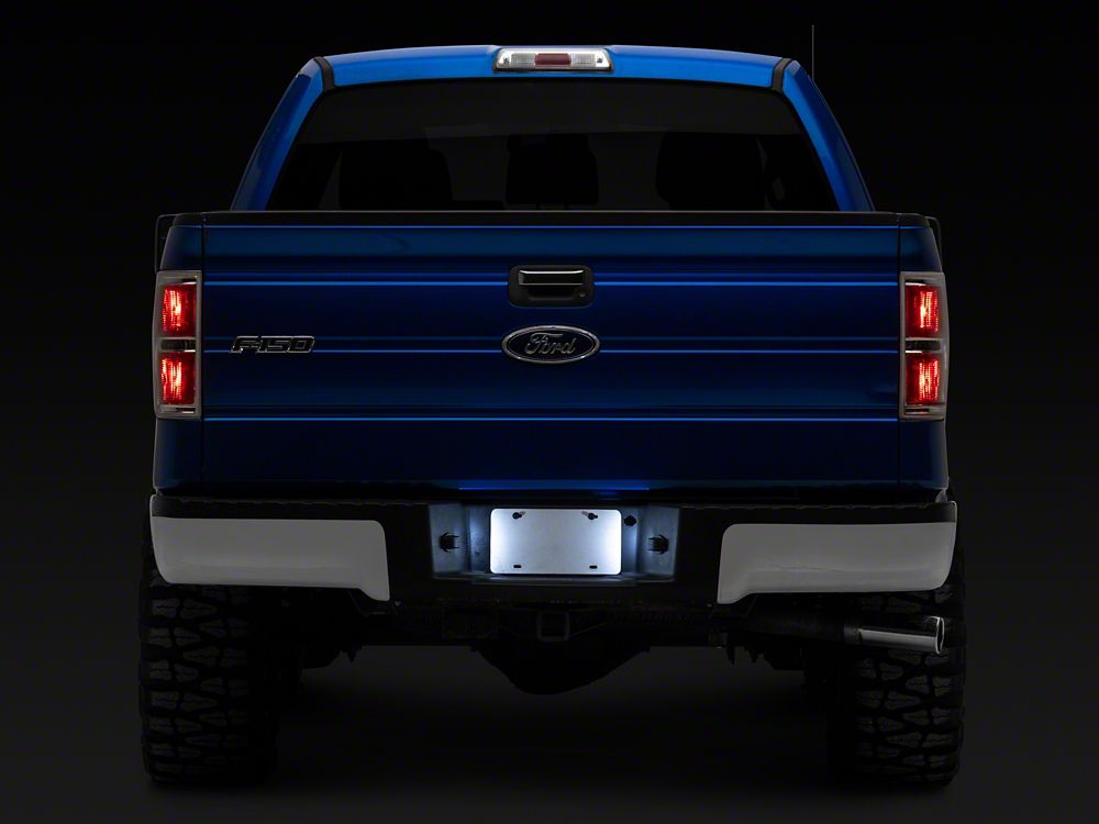 Raxiom LED License Plate Lighting; White (04-14 F-150)