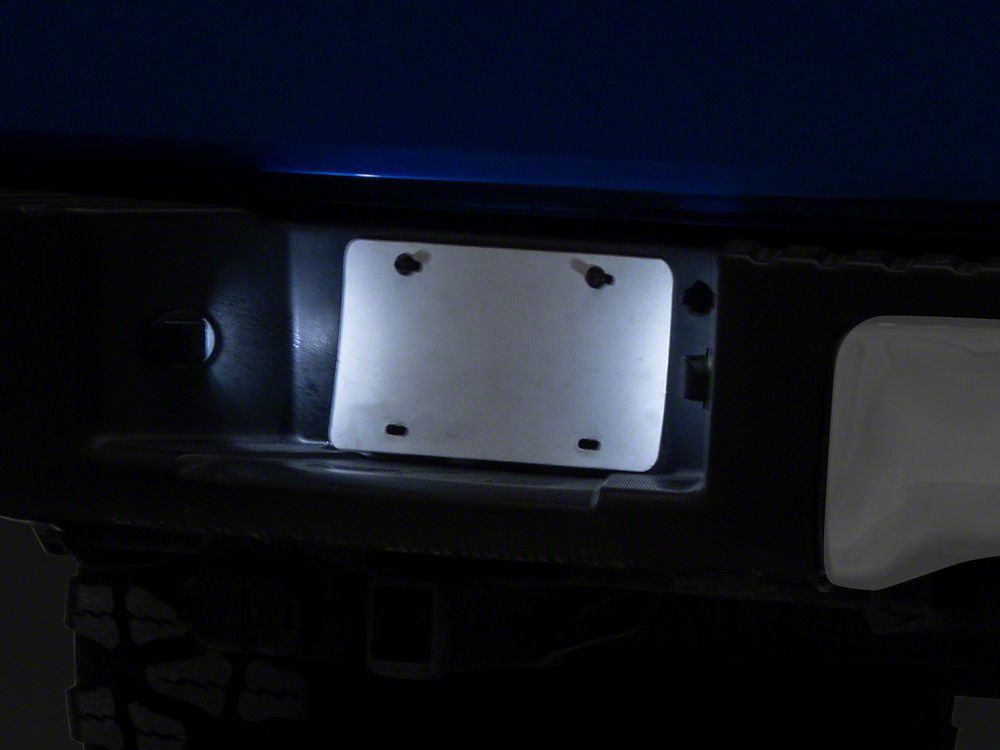 Raxiom LED License Plate Lighting; White (04-14 F-150)