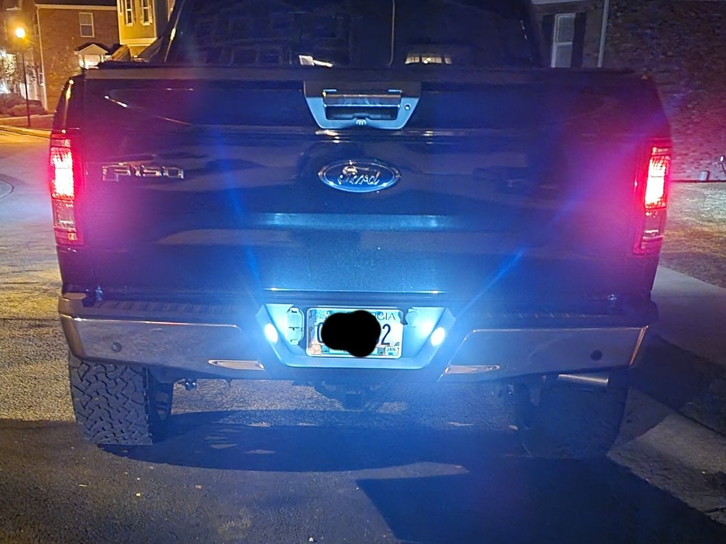 Raxiom Axial Series LED License Plate Lamps (15-25 F-150)