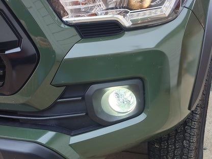 Raxiom Axial Series 6000K LED Fog Light Bulbs; H11 (12-23 Tacoma)
