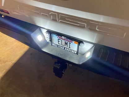 Raxiom Axial Series LED License Plate Lamps (15-25 F-150)
