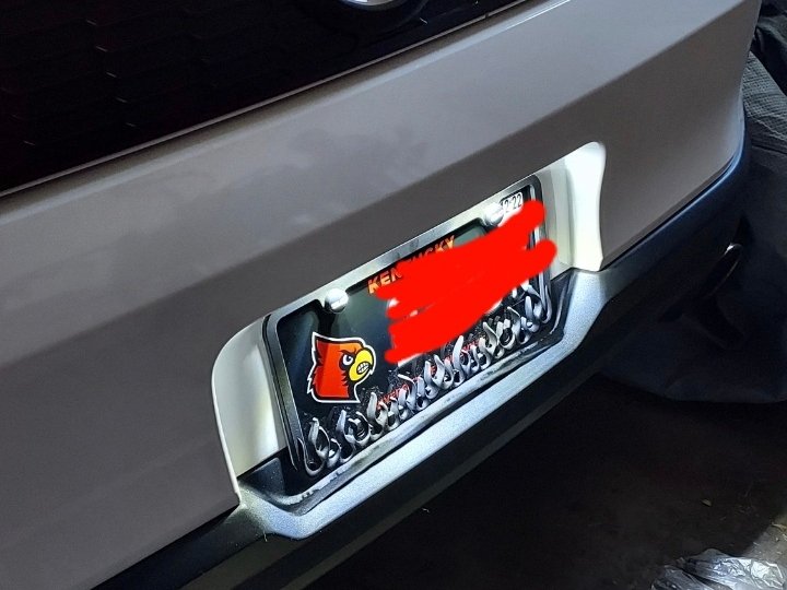 Raxiom Axial Series LED License Plate Lamps (10-14 Mustang)