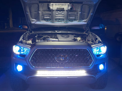 Raxiom Axial Series LED License Plate Bulbs (16-19 Tacoma)