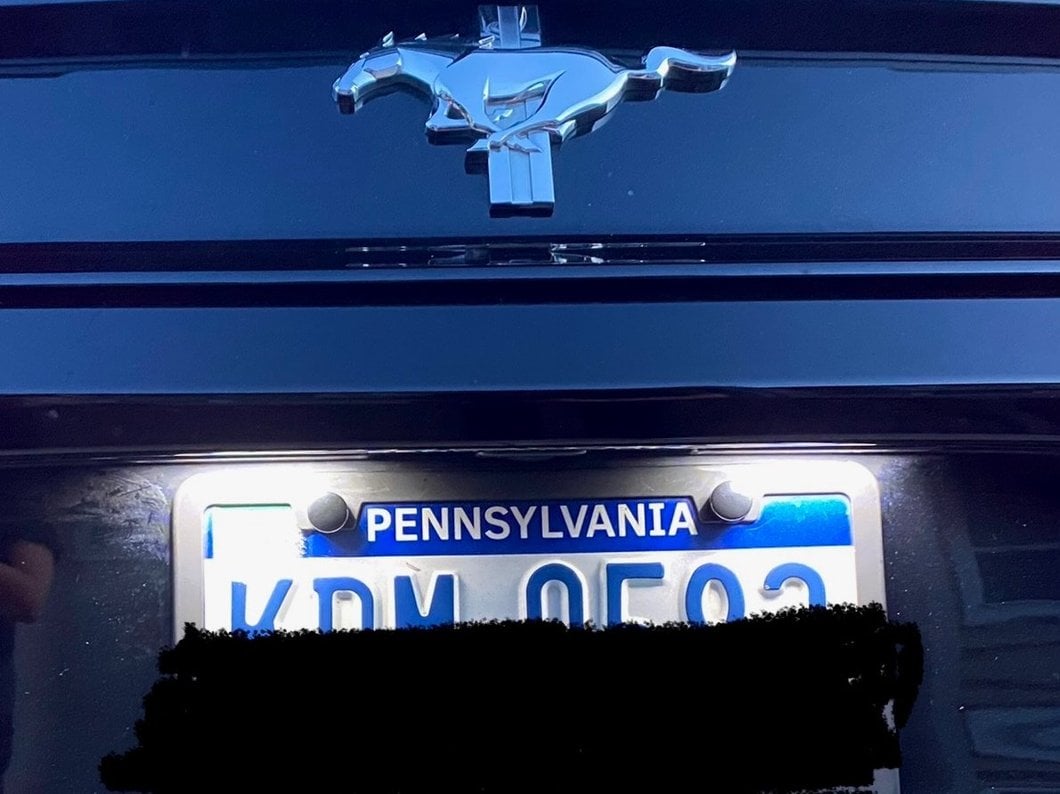 Raxiom Axial Series LED License Plate Lamps (15-23 Mustang)