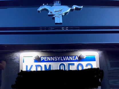 Raxiom Axial Series LED License Plate Lamps (15-23 Mustang)