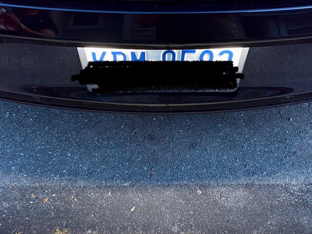 Raxiom Axial Series LED License Plate Lamps (15-23 Mustang)