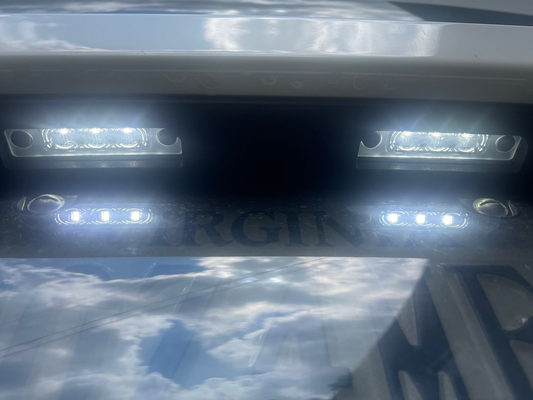 Raxiom Axial Series LED License Plate Lamps (10-14 Mustang)
