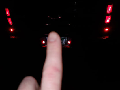 Raxiom Axial Series LED License Plate Lamps; Red and White (10-14 F-150)