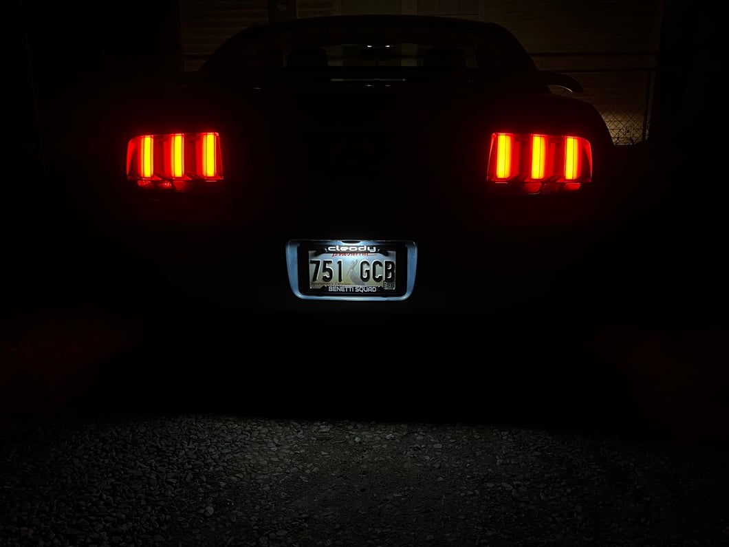 Raxiom Axial Series LED License Plate Lamps (05-09 Mustang)