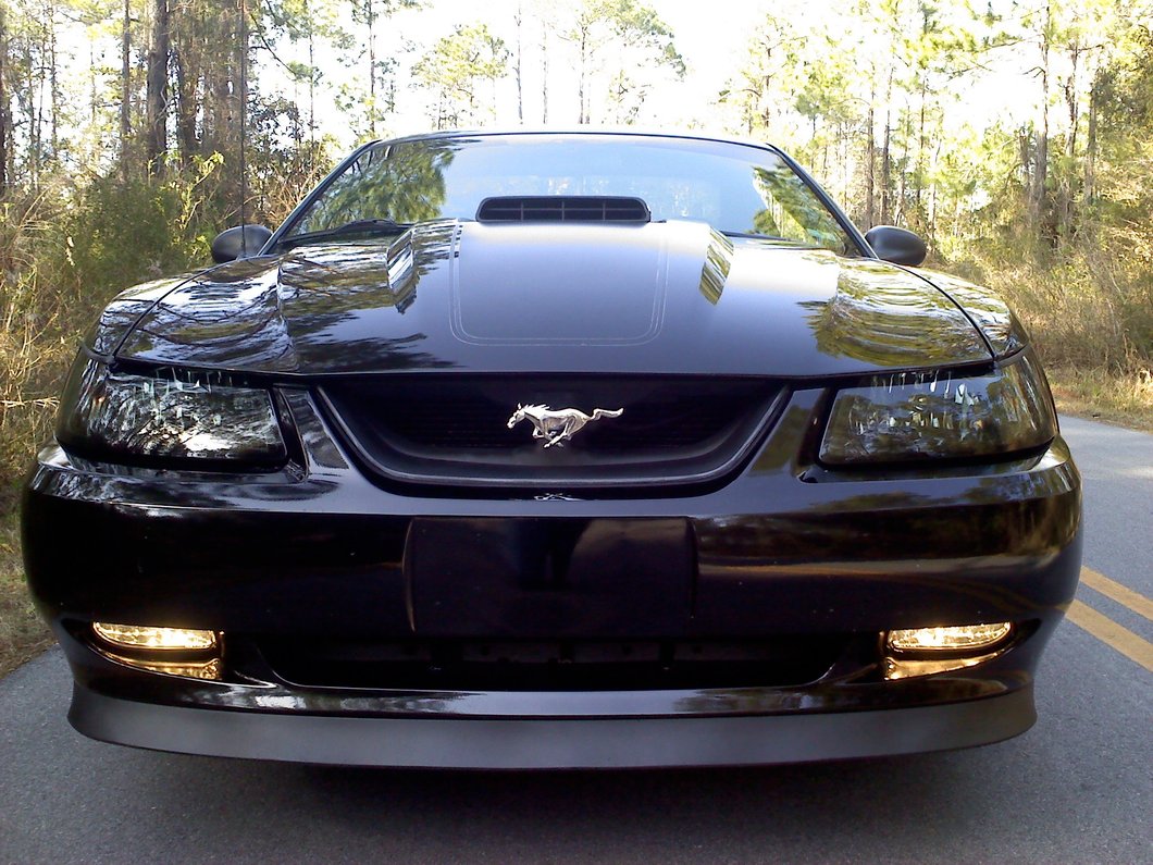 Raxiom Fog Lights; Smoked (99-04 Mustang, Excluding Cobra)