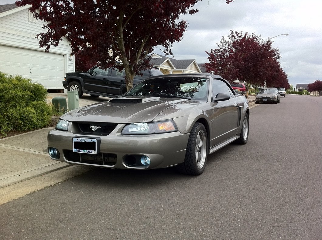 Raxiom Axial Series Replacement Fog Light; Driver or Passenger Side (03-04 Mustang Cobra)
