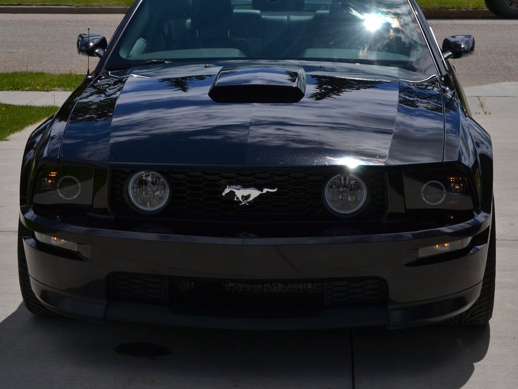 Raxiom 2010 Style LED Halo Headlights; Black Housing; Smoked Lens (05-09 Mustang w/ Factory Halogen Headlights, Excluding GT500)