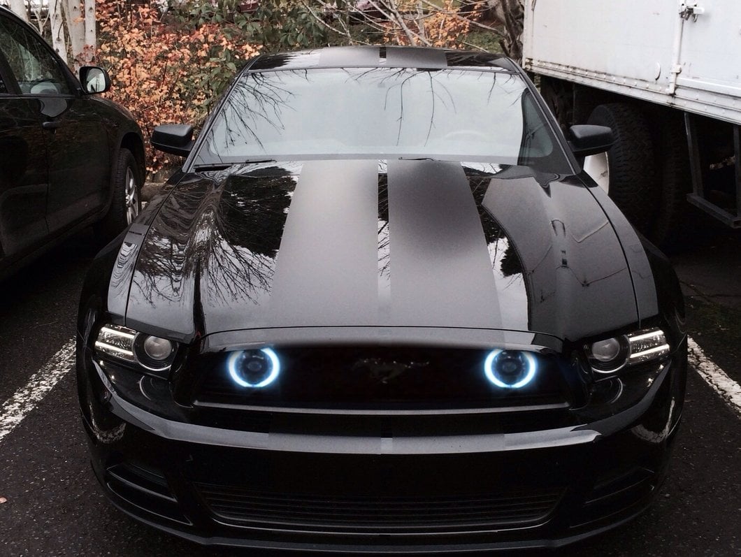 Raxiom CCFL Halo Fog Lights; Smoked (13-14 Mustang GT)