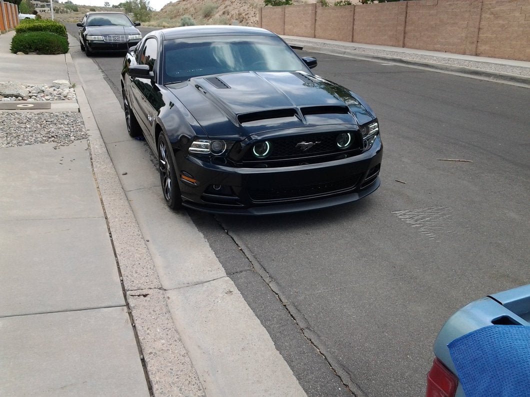 Raxiom CCFL Halo Fog Lights; Smoked (13-14 Mustang GT)