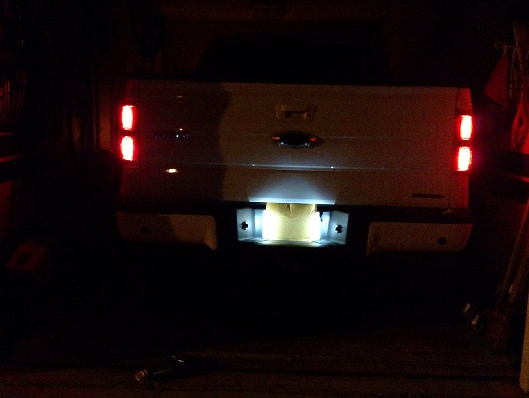 Raxiom Axial Series LED License Plate Light Bulbs (04-14 F-150)