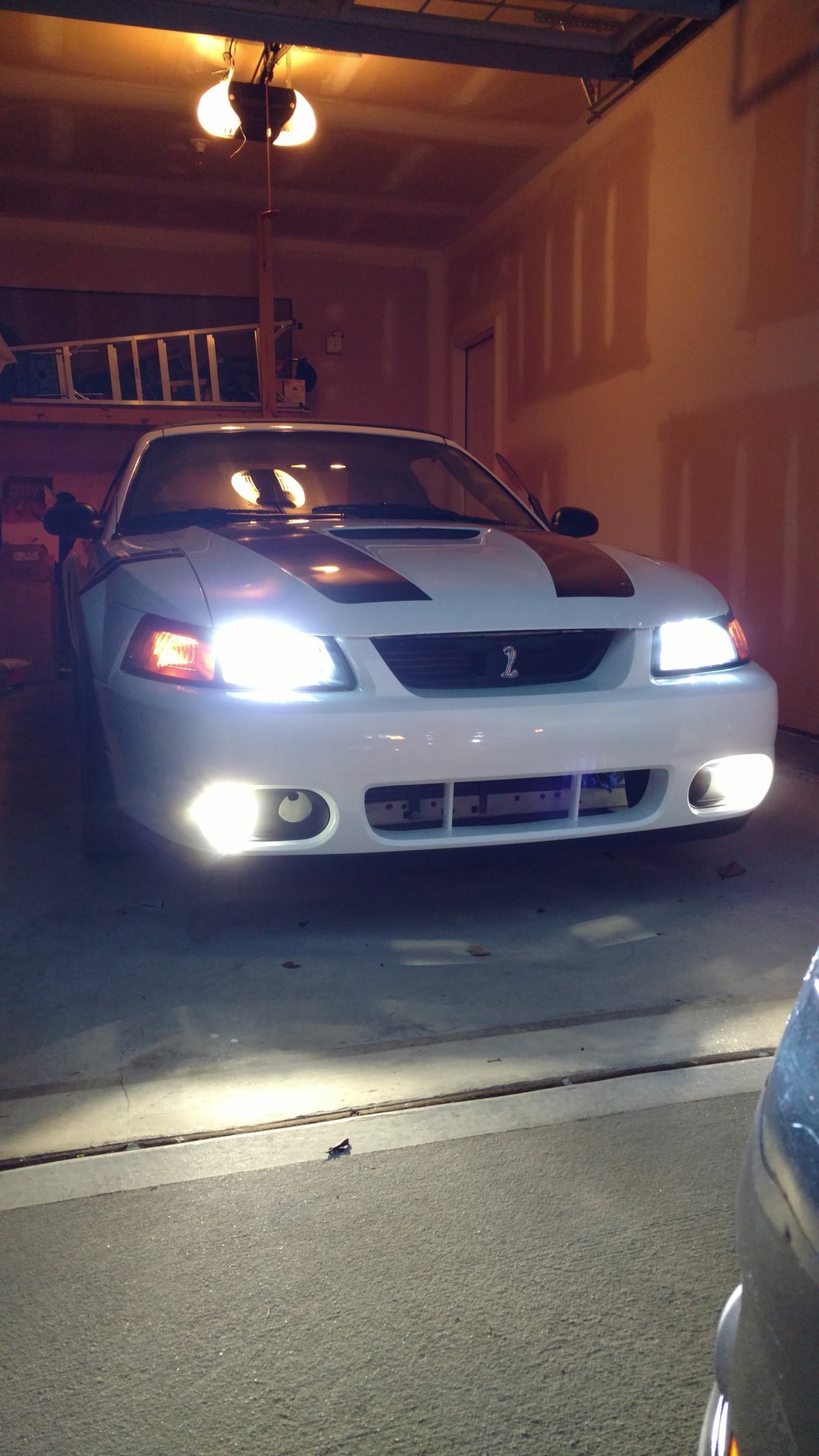 Raxiom Axial Series LED Fog Light Bulbs (94-04 Mustang, Excluding 03-04 Cobra)