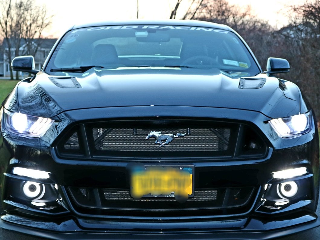 Raxiom LED Halo Fog Lights (15-17 Mustang w/ Factory Fog Lights)