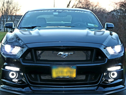 Raxiom LED Halo Fog Lights (15-17 Mustang w/ Factory Fog Lights)
