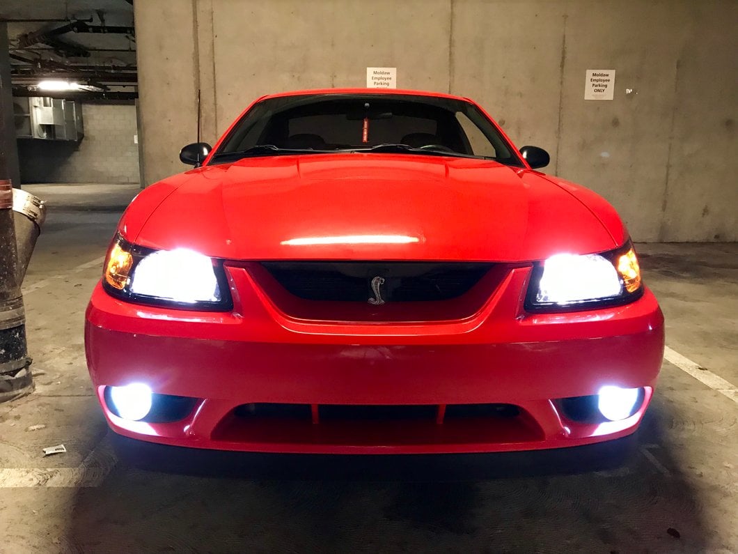 Raxiom Axial Series LED Fog Light Bulbs (94-04 Mustang, Excluding 03-04 Cobra)