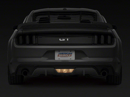 Raxiom Axial Series Reverse Light LED Conversion Kit (15-23 Mustang)