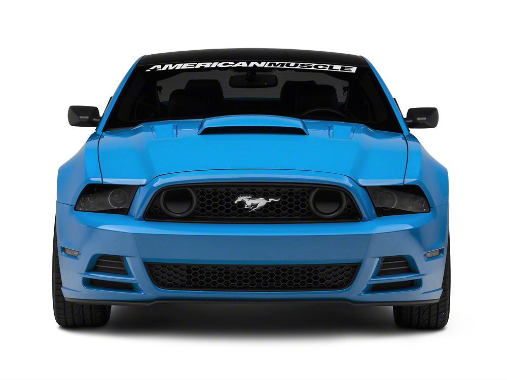 Raxiom Axial Series HID Bulb Upgrade; 6000K (08-23 Mustang w/ Factory Style D3S Bulb)