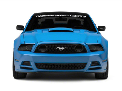 Raxiom Axial Series HID Bulb Upgrade; 6000K (08-23 Mustang w/ Factory Style D3S Bulb)
