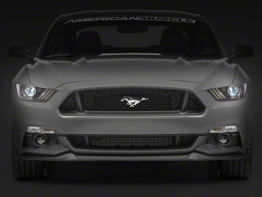 Raxiom Axial Series HID Bulb Upgrade; 6000K (10-23 Mustang w/ Factory HID Headlights)