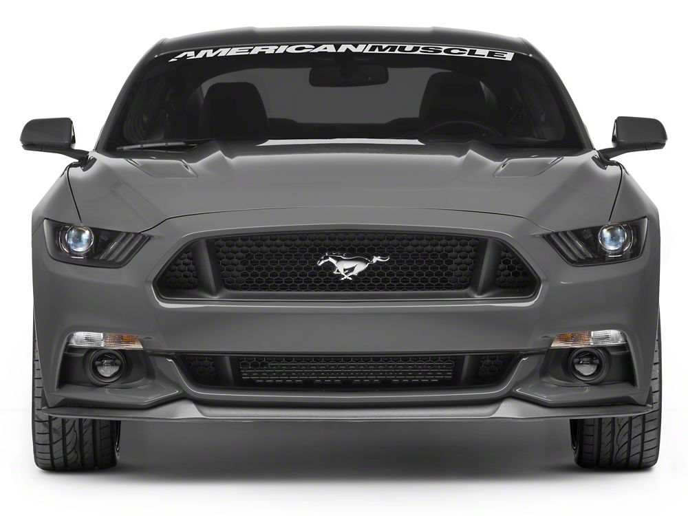 Raxiom Axial Series HID Bulb Upgrade; 6000K (10-23 Mustang w/ Factory HID Headlights)