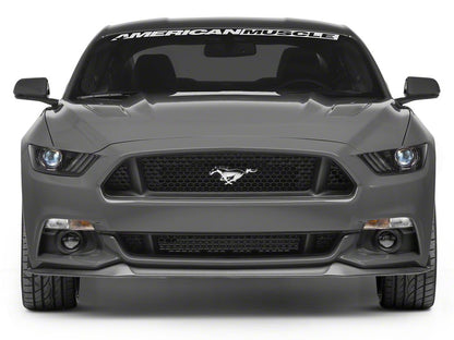 Raxiom Axial Series HID Bulb Upgrade; 6000K (10-23 Mustang w/ Factory HID Headlights)