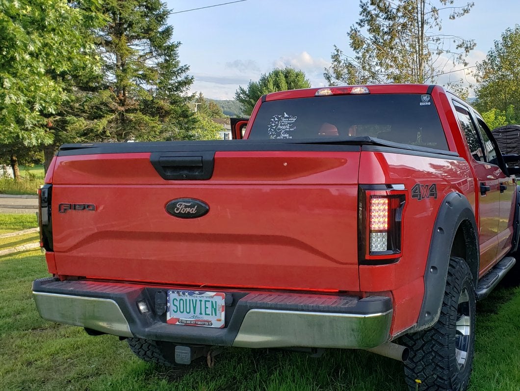 Raxiom LED Tail Lights; Black Housing; Clear Lens (15-17 F-150 w/ Factory Halogen Non-BLIS Tail Lights)