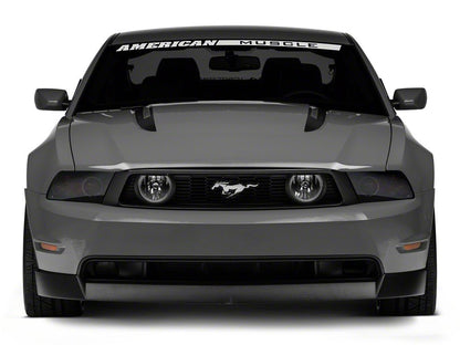 Raxiom LED Halo Fog Lights; Chrome (05-12 Mustang GT)