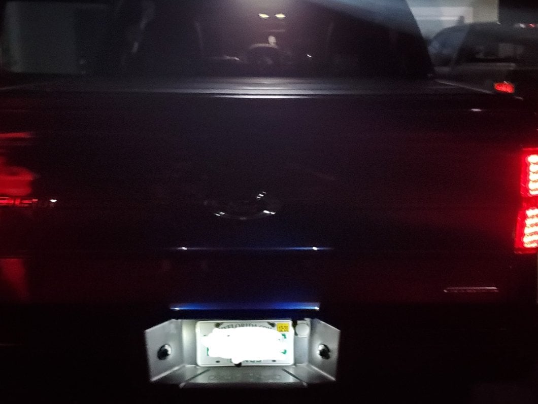 Raxiom Axial Series LED License Plate Light Bulbs (04-14 F-150)