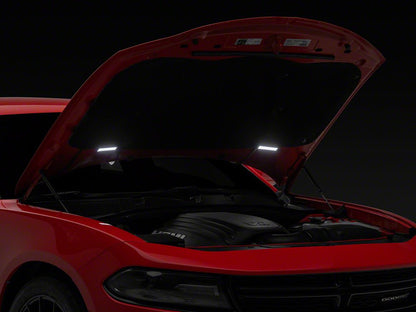 Raxiom Axial Series LED Underhood Lighting Kit (Universal; Some Adaptation May Be Required)